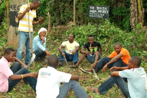young farmers group and extension provider in nigeria